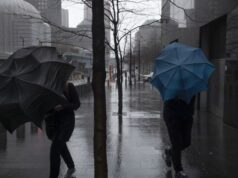 Частину України накриють дощі з туманами: прогноз погоди на 3 грудня Частину-України-накриють-дощі-з туманами:-прогноз-погоди-на 3 грудня