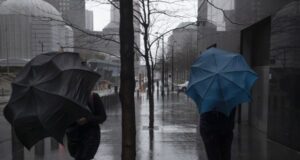 Частину України накриють дощі з туманами: прогноз погоди на 3 грудня Частину-України-накриють-дощі-з туманами:-прогноз-погоди-на 3 грудня