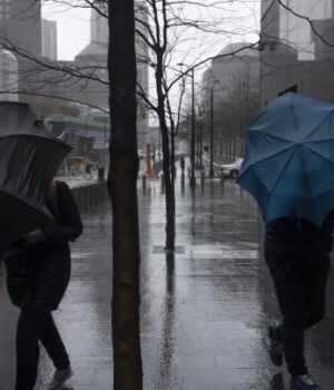 Частину-України-накриють-дощі-з туманами:-прогноз-погоди-на 3 грудня Частину-України-накриють-дощі-з туманами:-прогноз-погоди-на 3 грудня