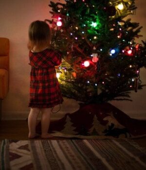 Не ставте-новорічну-ялинку-тут:-три-місця-в оселі,-що загрожують-вашій-безпеці Не ставте-новорічну-ялинку-тут:-три-місця-в оселі,-що загрожують-вашій-безпеці