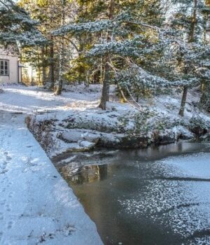 Якою-буде-погода-в Україні-на цьому-тижні-та чи чекати-на похолодання:-прогноз