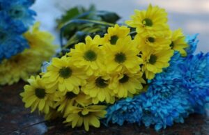 Громада на Волині втратила ще двох Героїв на війні Громада-на-Волині-втратила-ще-двох-Героїв-на-війні