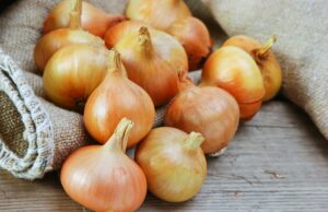 Цибуля в Україні продовжує дешевшати: скільки вже коштує кілограм Цибуля-в-Україні-продовжує-дешевшати:-скільки-вже-коштує-кілограм