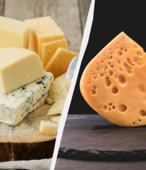 Чому-сир-швидко-псується-навіть-у-холодильнику:-експертка-вказала-на-найпоширеніші-помилки