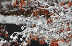 Тест-малюнок розкриє ваш поточний життєвий пріоритет Тест-малюнок-розкриє-ваш-поточний-життєвий-пріоритет