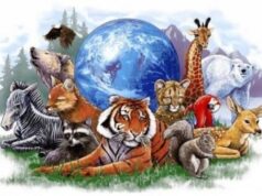 4 грудня: свята, події, факти. Всесвітній день охорони дикої природи та День кубиків 4-грудня:-свята,-події,-факти.-Всесвітній-день-охорони-дикої-природи-та-День-кубиків