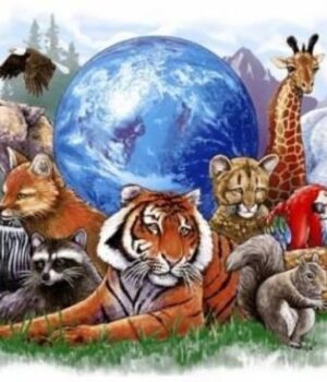 4-грудня:-свята,-події,-факти.-Всесвітній-день-охорони-дикої-природи-та-День-кубиків 4-грудня:-свята,-події,-факти.-Всесвітній-день-охорони-дикої-природи-та-День-кубиків