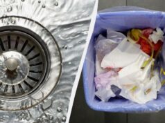 Що не можна викидати у каналізацію: 10 продуктів, яким місце у смітнику Що-не-можна-викидати-у-каналізацію:-10-продуктів,-яким-місце-у-смітнику