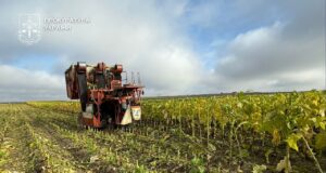 На Волині підприємство незаконно вирощувало тютюн: вилучили сировини на 5 мільйонів На-Волині-підприємство-незаконно-вирощувало-тютюн:-вилучили-сировини-на-5-мільйонів