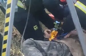 Біля Луцька чоловік упав у 5-метровий недіючий колодязь на своєму обійсті Біля-Луцька-чоловік-упав-у-5-метровий-недіючий-колодязь-на-своєму-обійсті