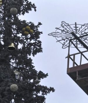 На-центральній-площі-Луцька-готують-до-свят-ялинки:-якими-вони-будуть-цьогоріч На-центральній-площі-Луцька-готують-до-свят-ялинки:-якими-вони-будуть-цьогоріч