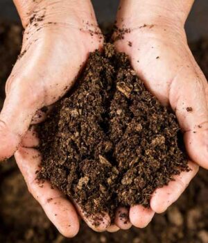 5-грудня:-свята,-події,-факти.-Всесвітній-день-ґрунтів-та-Міжнародний-фестиваль-светрів 5-грудня:-свята,-події,-факти.-Всесвітній-день-ґрунтів-та-Міжнародний-фестиваль-светрів