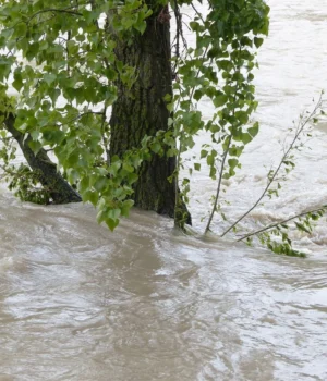 Шторм-"Байрон"-накрив-Грецію:-закриті-школи,-порушена-робота-громадських-служб