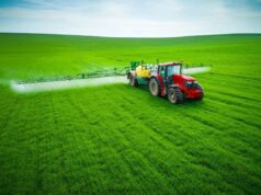 Як правильно вибрати та застосовувати гербіциди суцільної дії Як-правильно-вибрати-та-застосовувати-гербіциди-суцільної-дії