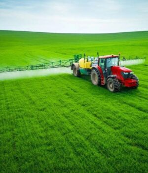 Як-правильно-вибрати-та-застосовувати-гербіциди-суцільної-дії