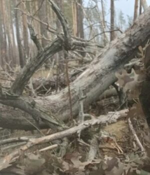 «На-коліна,-будь-ласка!».-Як-американець-штурмує-російські-окопи-в-Україні