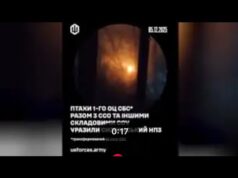 Подзьобай кощієву голку та вимкни на болотах світло. (ВІДЕО) Подзьобай кощієву голку та вимкни на болотах світло. (ВІДЕО)