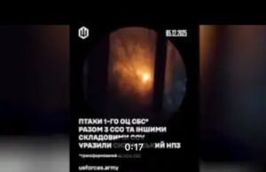 Подзьобай кощієву голку та вимкни на болотах світло. (ВІДЕО) Подзьобай кощієву голку та вимкни на болотах світло. (ВІДЕО)