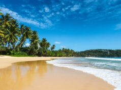 Зимова відпустка на Шрі Ланці: найкращі курорти та розваги Зимова-відпустка-на-Шрі-Ланці:-найкращі-курорти-та-розваги