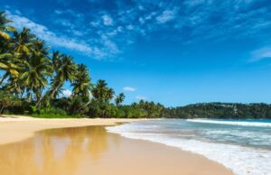 Зимова відпустка на Шрі Ланці: найкращі курорти та розваги Зимова-відпустка-на-Шрі-Ланці:-найкращі-курорти-та-розваги