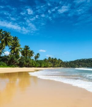 Зимова-відпустка-на-Шрі-Ланці:-найкращі-курорти-та-розваги