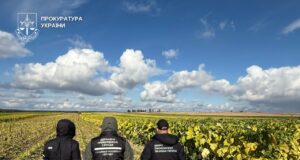 Медіа з’ясували, кому належать плантації тютюну на 40 гектарів, що виявили на Волині Медіа-з’ясували,-кому-належать-плантації-тютюну-на-40-гектарів,-що-виявили-на-Волині