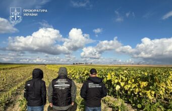 Медіа з’ясували, кому належать плантації тютюну на 40 гектарів, що виявили на Волині Медіа-з’ясували,-кому-належать-плантації-тютюну-на-40-гектарів,-що-виявили-на-Волині