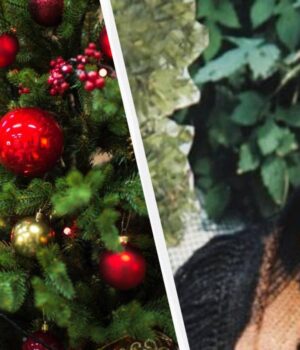 Баба-Ванга-попередила,-що-переверне-світ-у-2026-році Баба-Ванга-попередила,-що-переверне-світ-у-2026-році