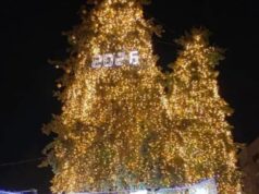 У Луцьку засвітили головні ялинки міста У-Луцьку-засвітили-головні-ялинки-міста