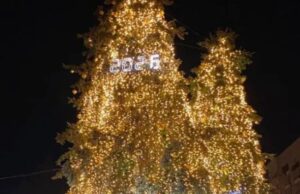 У Луцьку засвітили головні ялинки міста У-Луцьку-засвітили-головні-ялинки-міста