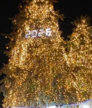 У-Луцьку-засвітили-головні-ялинки-міста