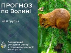 Якою буде погода у Луцьку та на Волині завтра, 6 грудня Якою-буде-погода-у-Луцьку-та-на-Волині-завтра,-6-грудня
