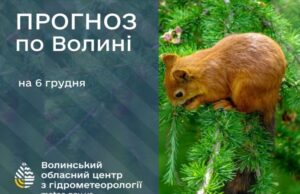 Якою буде погода у Луцьку та на Волині завтра, 6 грудня Якою-буде-погода-у-Луцьку-та-на-Волині-завтра,-6-грудня