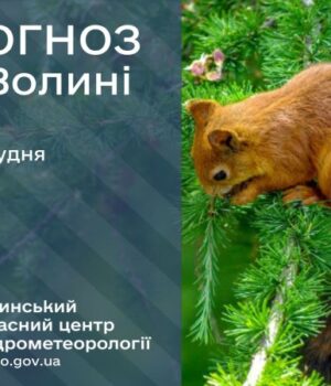 Якою-буде-погода-у-Луцьку-та-на-Волині-завтра,-6-грудня