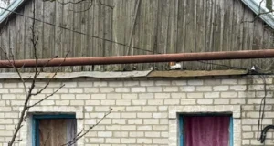 Удар по Запоріжжю: поранено четверо людей Удар-по-Запоріжжю:-поранено-четверо-людей