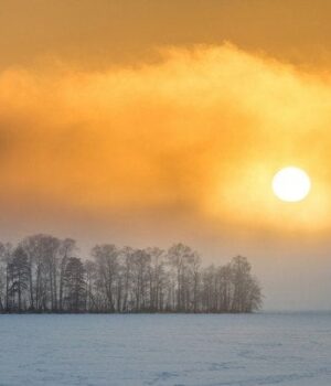 День-зимового-сонцестояння-2025 року:-коли-буде-найдовша-ніч-року,-чим-вона-особлива День-зимового-сонцестояння-2025 року:-коли-буде-найдовша-ніч-року,-чим-вона-особлива