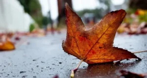 Хмарно з проясненнями та помірний вітер: синоптики дали прогноз на 7 грудня Хмарно-з-проясненнями-та-помірний-вітер:-синоптики-дали-прогноз-на-7-грудня