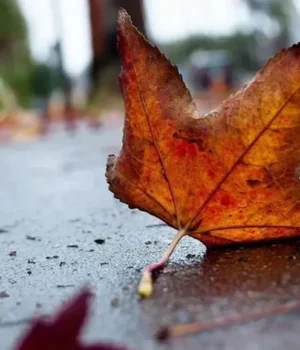 Хмарно-з-проясненнями-та-помірний-вітер:-синоптики-дали-прогноз-на-7-грудня