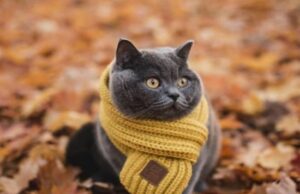 Якою буде погода у Луцьку та на Волині завтра, 7 грудня Якою-буде-погода-у-Луцьку-та-на-Волині-завтра,-7-грудня