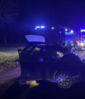 У-Польщі-в-автобус-з-26-українцями-врізався-легковик:-що-відомо