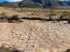 У Болівії вздовж давнього узбережжя виявили 18 тисяч слідів динозаврів: це новий рекорд У-Болівії-вздовж-давнього-узбережжя-виявили-18-тисяч-слідів-динозаврів:-це-новий-рекорд
