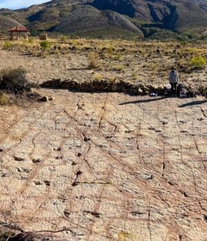 У-Болівії-вздовж-давнього-узбережжя-виявили-18-тисяч-слідів-динозаврів:-це-новий-рекорд