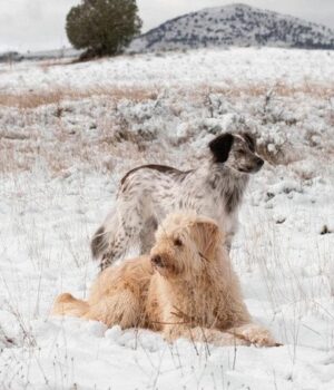 День-ангела-7 грудня:-кого-та як вітати-з іменинами День-ангела-7 грудня:-кого-та як вітати-з іменинами