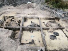 Масштабні археологічні дослідження у Володимирі: під підлогою споруди знайшли «Скарб купця» Масштабні-археологічні-дослідження-у-Володимирі:-під-підлогою-споруди-знайшли-«Скарб-купця»