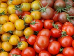 В Україні різко змінилися ціни на помідори В-Україні-різко-змінилися-ціни-на-помідори