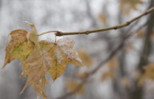 І мокрий сніг, і +11: синоптик розповів про “аномальну” погоду на наступний тиждень І-мокрий-сніг,-і-+11:-синоптик-розповів-про-“аномальну”-погоду-на-наступний-тиждень