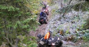 Карпати і війна. Як вирубка лісів, вседозволеність і споживацьке ставлення руйнують гори Карпати-і-війна.-Як-вирубка-лісів,-вседозволеність-і-споживацьке-ставлення-руйнують-гори