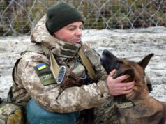 Тварин полюбив під час роботи в Італії: історія кінолога з Волинського прикордонного загону Тварин-полюбив-під-час-роботи-в-Італії:-історія-кінолога-з-Волинського-прикордонного-загону