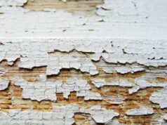 Чоловік розгадав таємницю 40-річних дверей біля будинку — знайшов реліквії минулого (фото) Чоловік-розгадав-таємницю-40-річних-дверей-біля-будинку —-знайшов-реліквії-минулого-(фото)