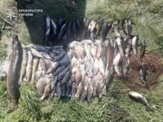 Волинський пенсіонер за незаконну риболовлю заплатить державі 116 тисяч гривень Волинський-пенсіонер-за-незаконну-риболовлю-заплатить-державі-116-тисяч-гривень